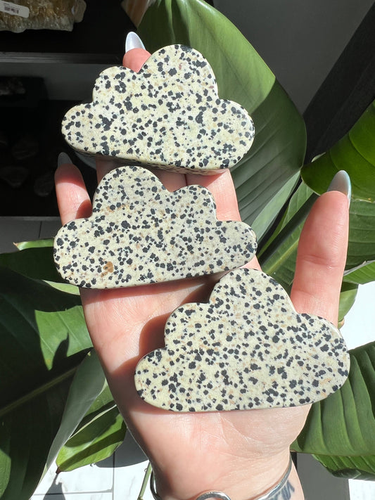 Dalmatian Jasper Crystal Cloud